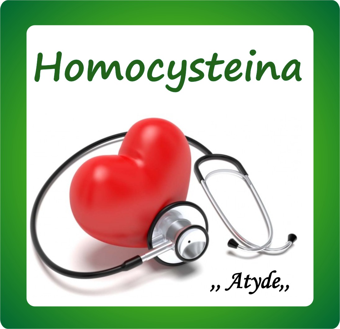 Kliknij aby powiększyć Homocysteina