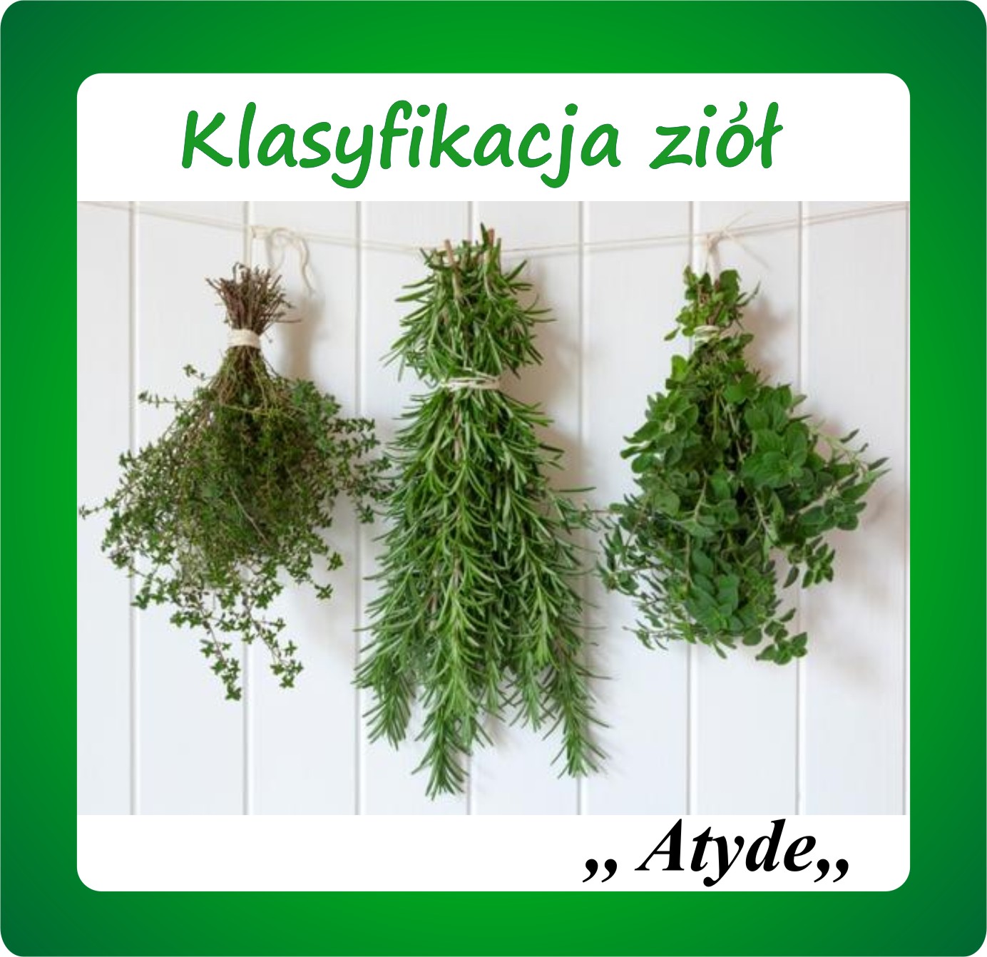 Kliknij aby powiększyć Klasyfikacja ziół
