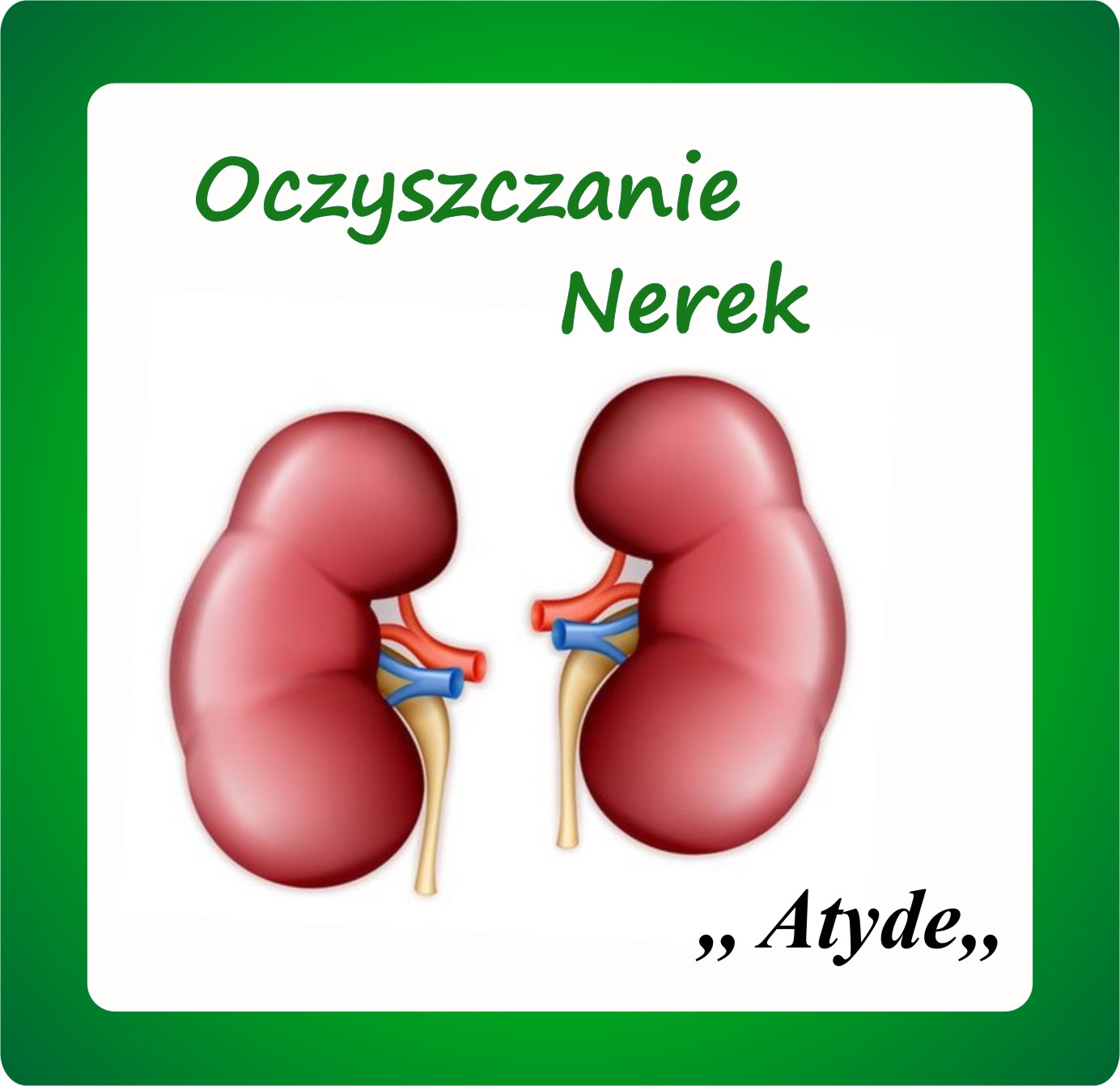 Kliknij aby powiększyć Oczyszczanie nerek