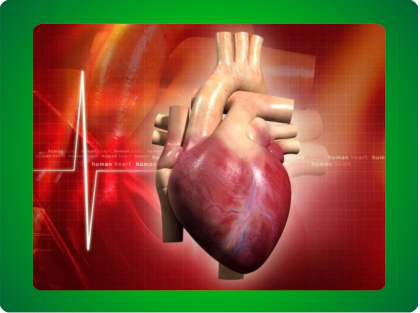 Dolegliwości serca i naczyń krwionośnych