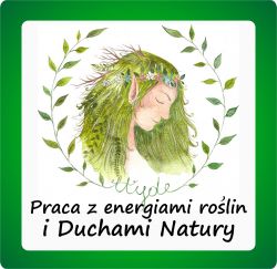 Praca z energiami roślin i duchami natury