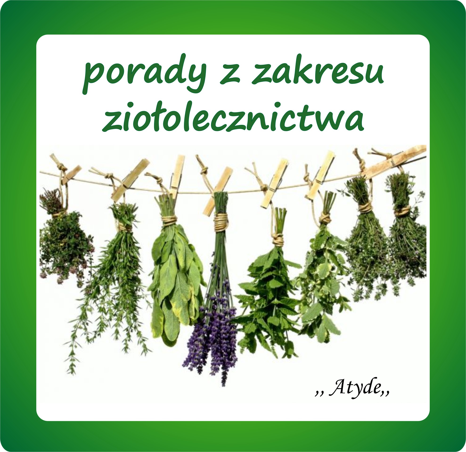 Kliknij aby powiększyć Ziołolecznictwo