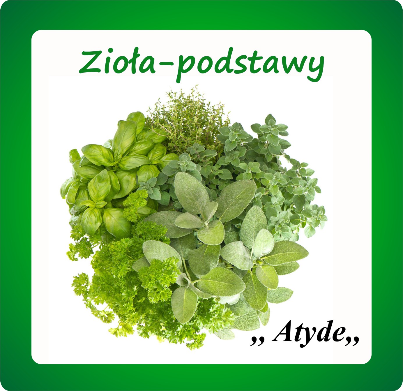 Kliknij aby powiększyć Zioła - podstawy